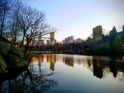 Reflections in Central Park